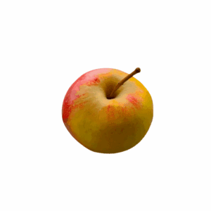 Äpfel Elstar 1kg