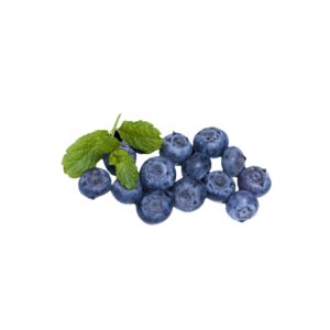 Blaubeeren  12x500g Kiste OL