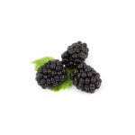Brombeer 12x125g