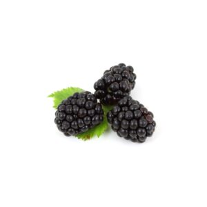 Brombeeren  8x125g DE