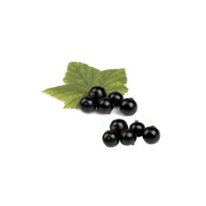 Johannisbeeren 125g  Schale