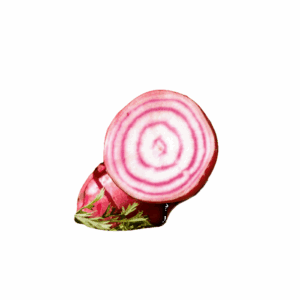 Chioggia Beete 5kg (Ringelbeete)