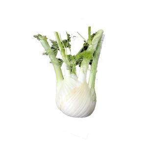 Fenchel kg