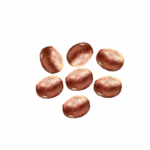 Kastanien 5kg Sack  FR