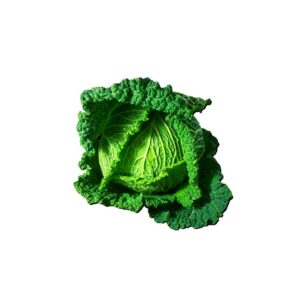 Wirsingkohl 6er Kiste