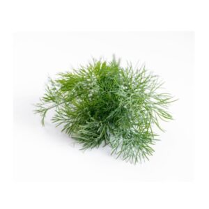Dill bund ORIGINAL