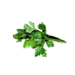 Petersilie glatt Bund