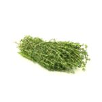 Thymian 100g Bund