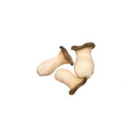 Kräuterseitlinge 2 kg