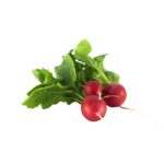 Radieschen 15er  Kiste